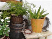 4f808628-2016-10-09 09.36.12.jpg